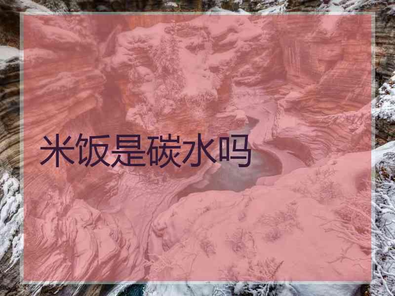 米饭是碳水吗
