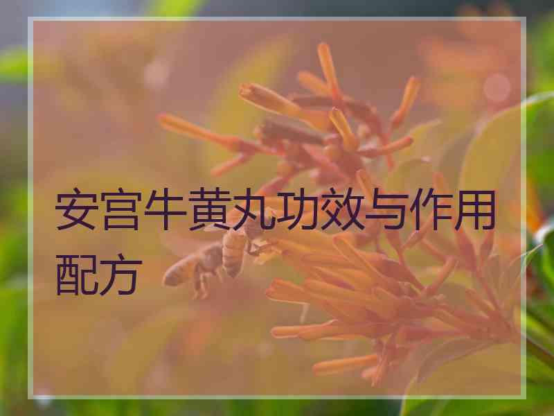 安宫牛黄丸功效与作用配方