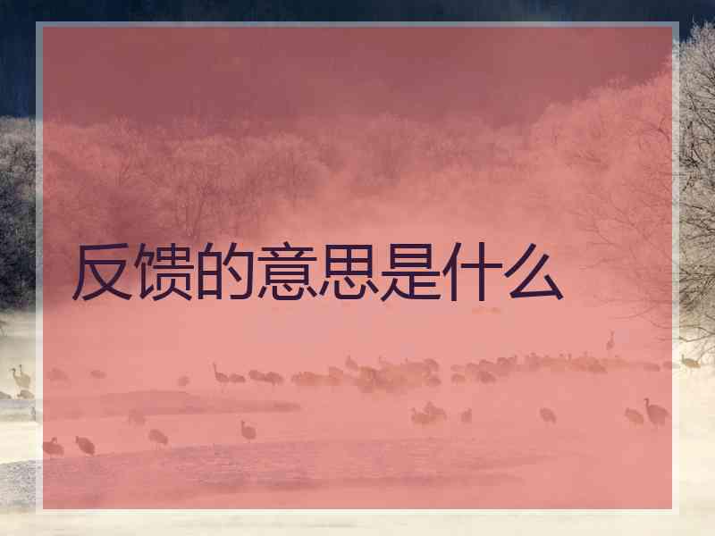 反馈的意思是什么