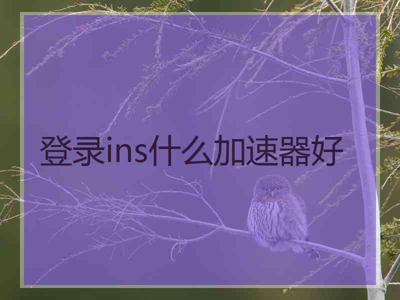 登录ins什么加速器好