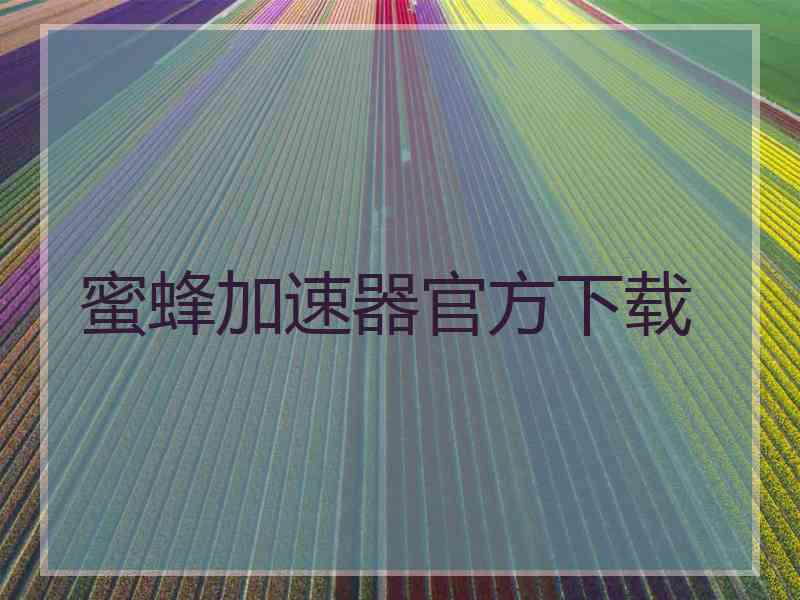 蜜蜂加速器官方下载