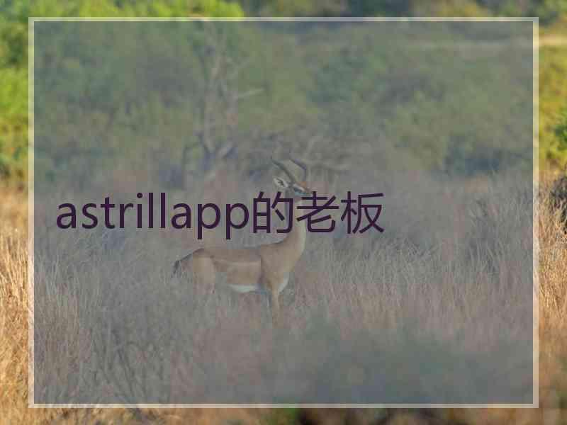 astrillapp的老板