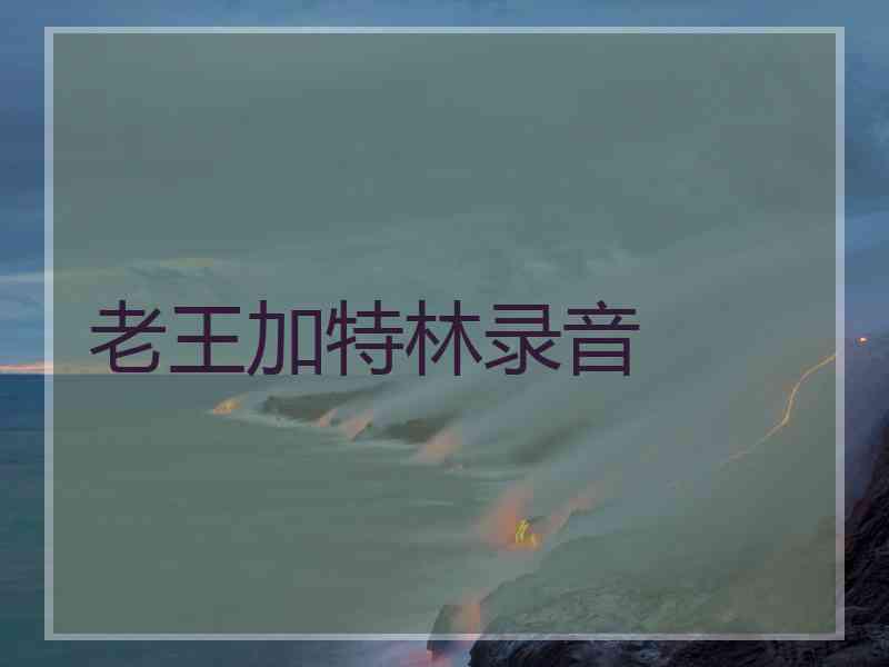 老王加特林录音
