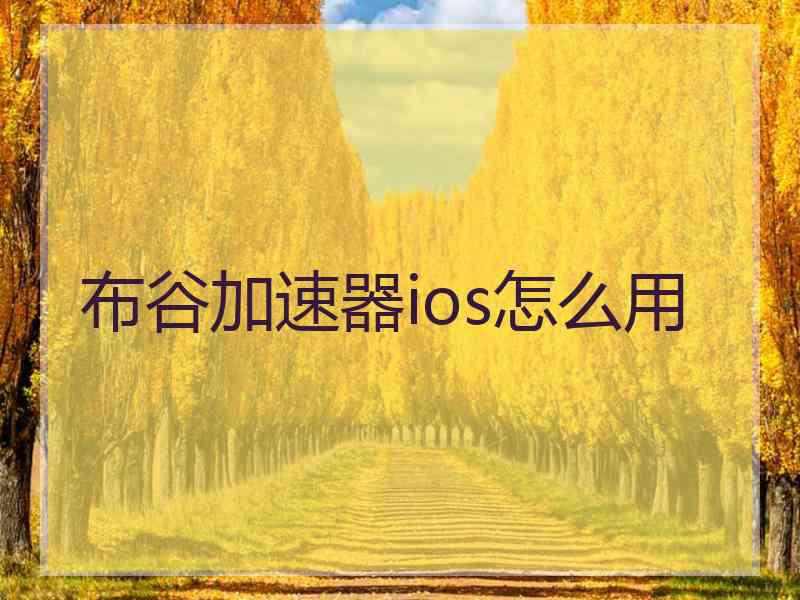 布谷加速器ios怎么用