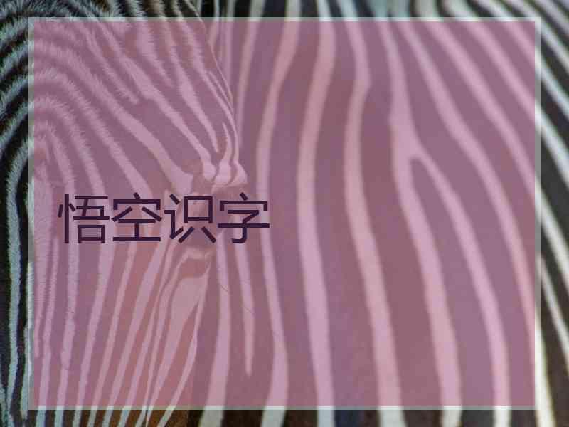 悟空识字