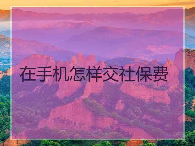在手机怎样交社保费