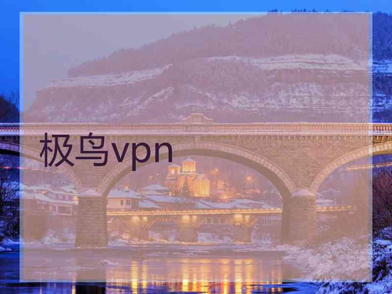 极鸟vpn