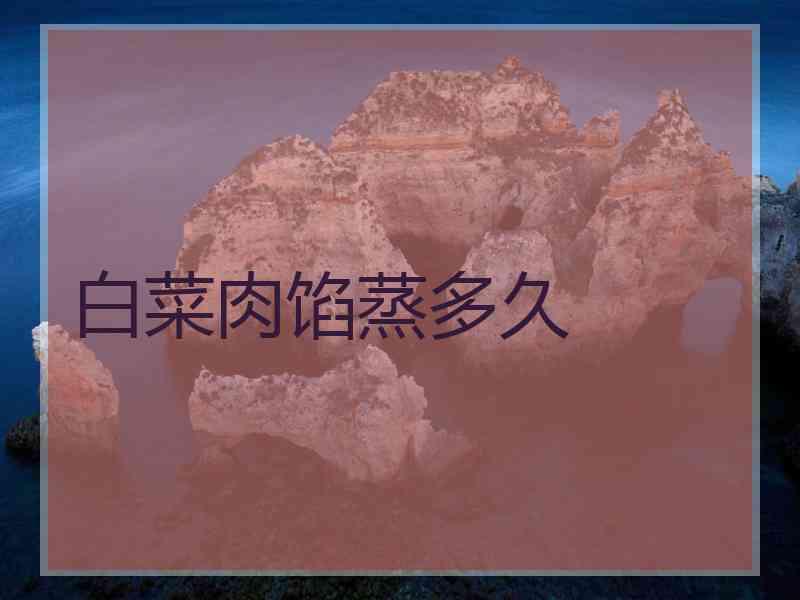 白菜肉馅蒸多久