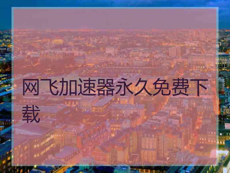 网飞加速器永久免费下载