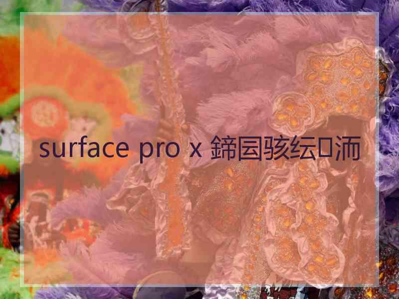 surface pro x 鍗囩骇纭洏