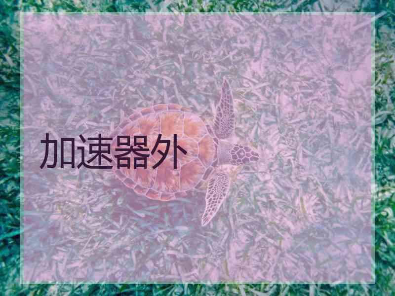 加速器外