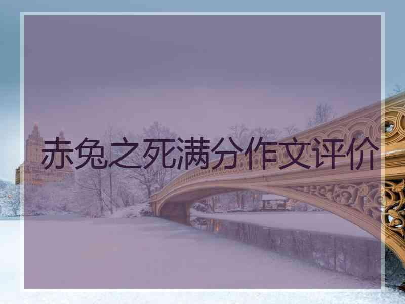 赤兔之死满分作文评价
