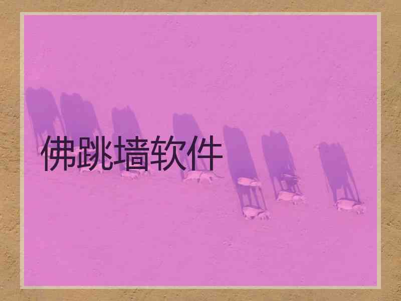 佛跳墙软件