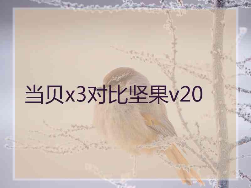 当贝x3对比坚果v20