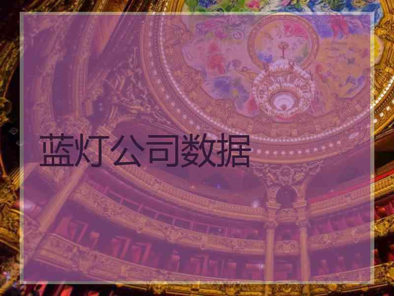 蓝灯公司数据