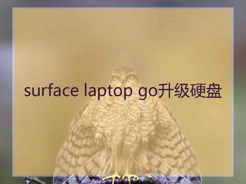 surface laptop go升级硬盘