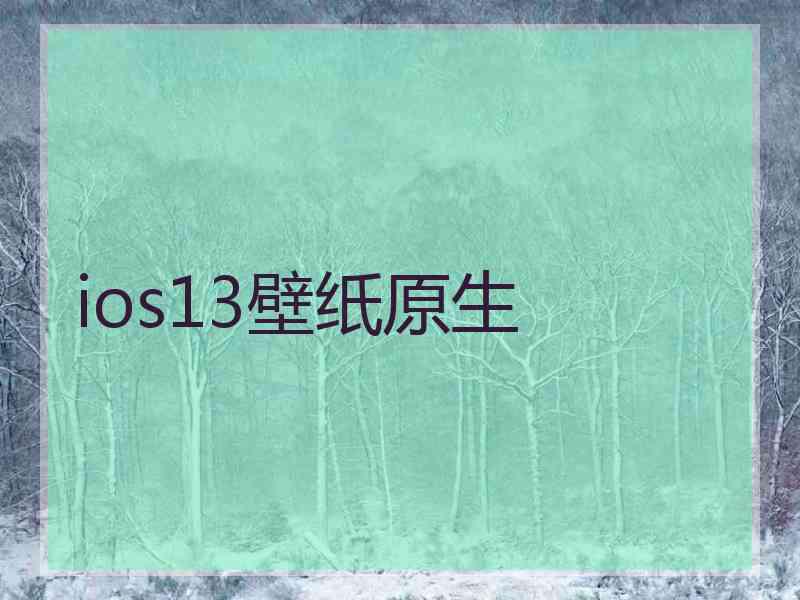 ios13壁纸原生