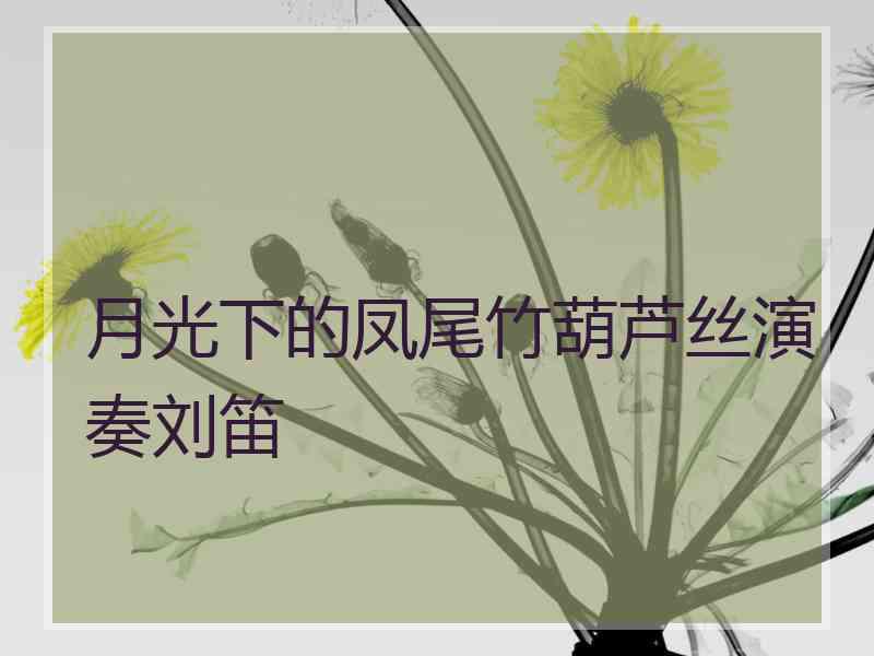 月光下的凤尾竹葫芦丝演奏刘笛