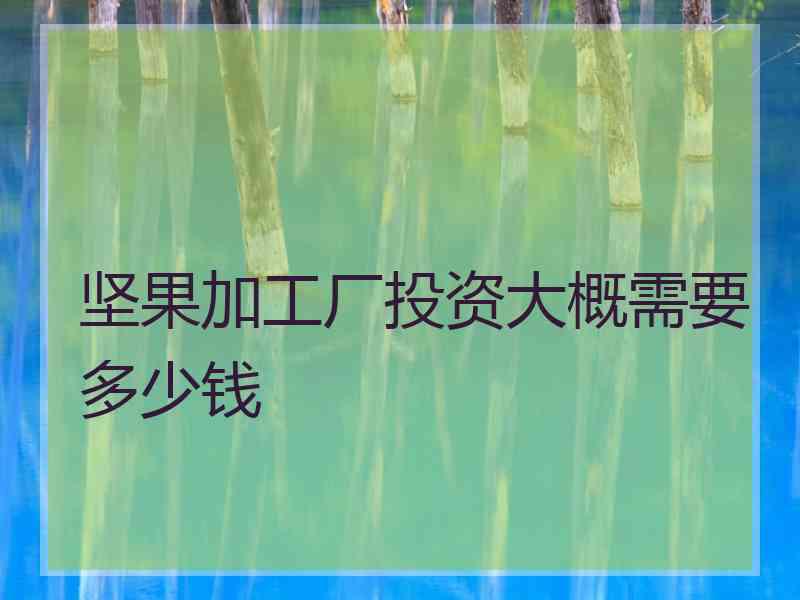 坚果加工厂投资大概需要多少钱