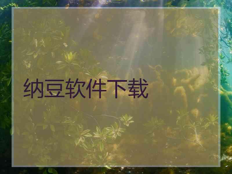 纳豆软件下载