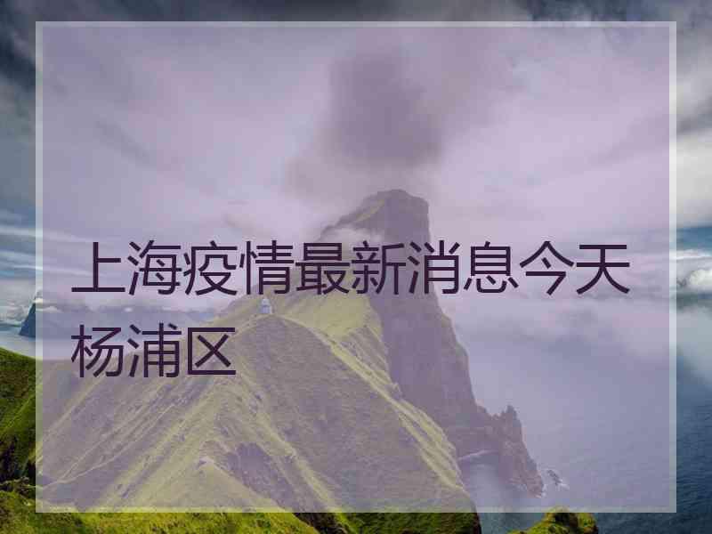 上海疫情最新消息今天杨浦区