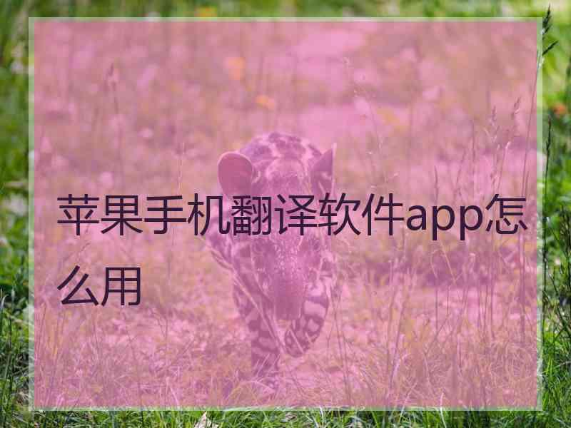 苹果手机翻译软件app怎么用