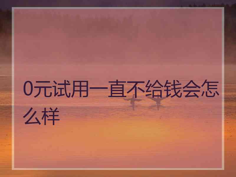 0元试用一直不给钱会怎么样