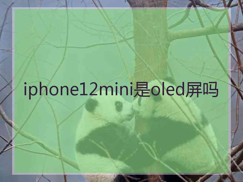 iphone12mini是oled屏吗