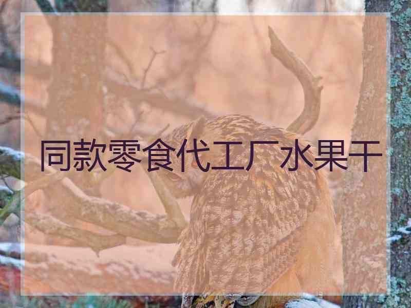 同款零食代工厂水果干