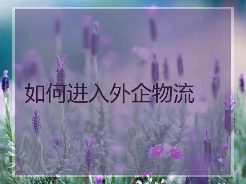 如何进入外企物流