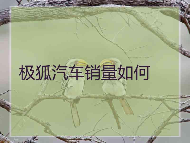 极狐汽车销量如何