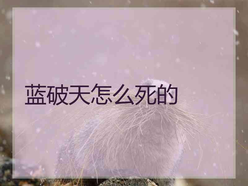蓝破天怎么死的