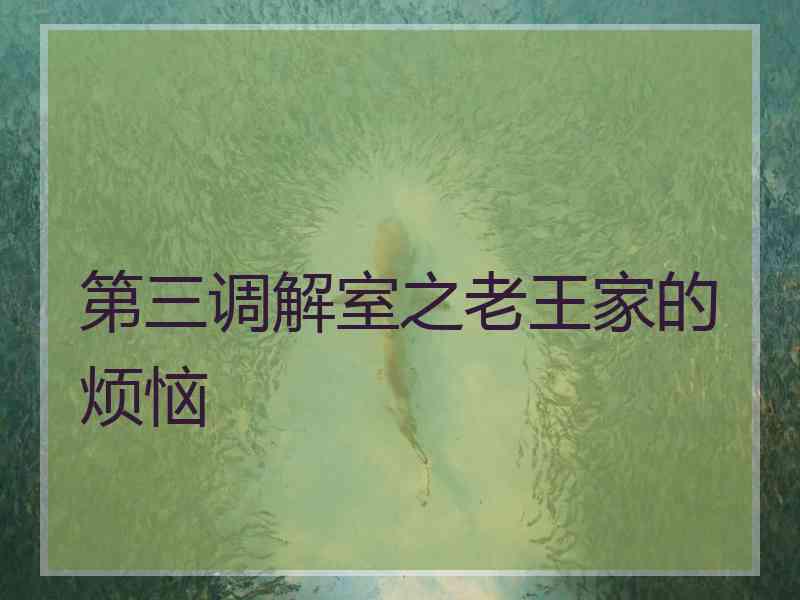 第三调解室之老王家的烦恼