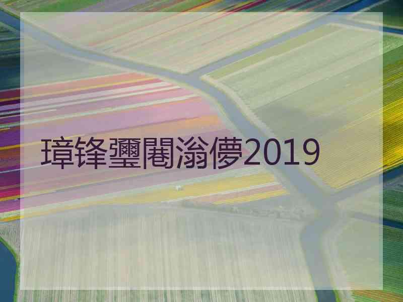 璋锋瓕闀滃儚2019