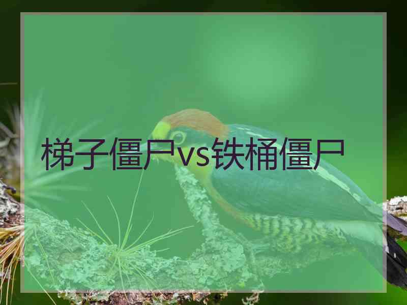 梯子僵尸vs铁桶僵尸
