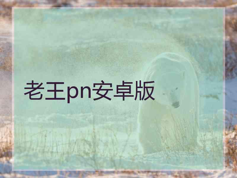老王pn安卓版
