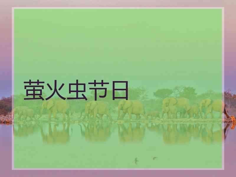 萤火虫节日
