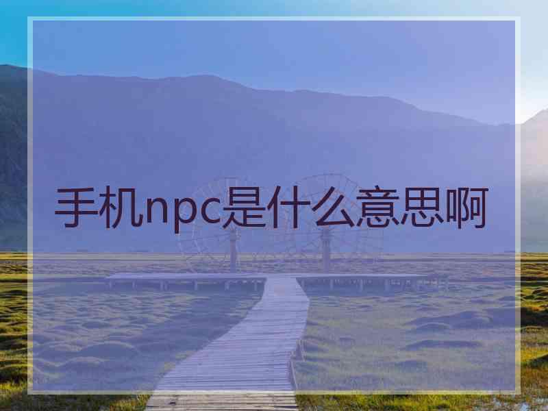 手机npc是什么意思啊