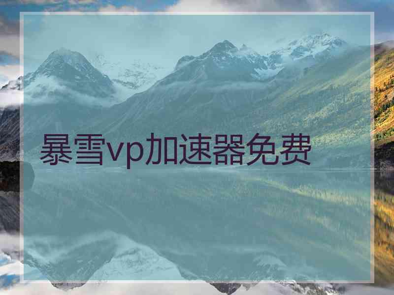 暴雪vp加速器免费