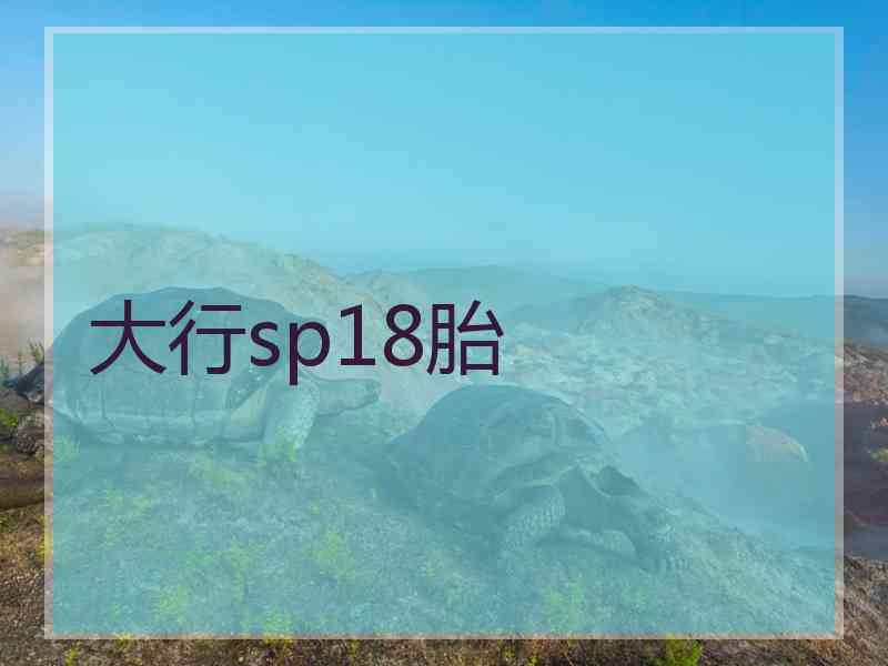 大行sp18胎