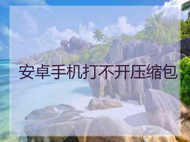 安卓手机打不开压缩包