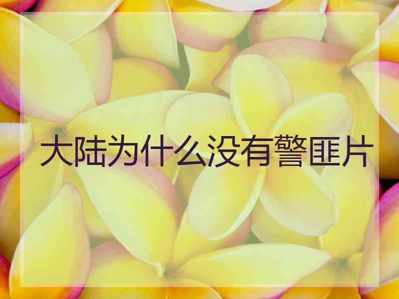 大陆为什么没有警匪片