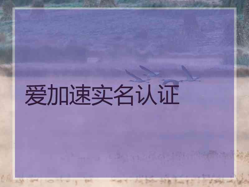 爱加速实名认证