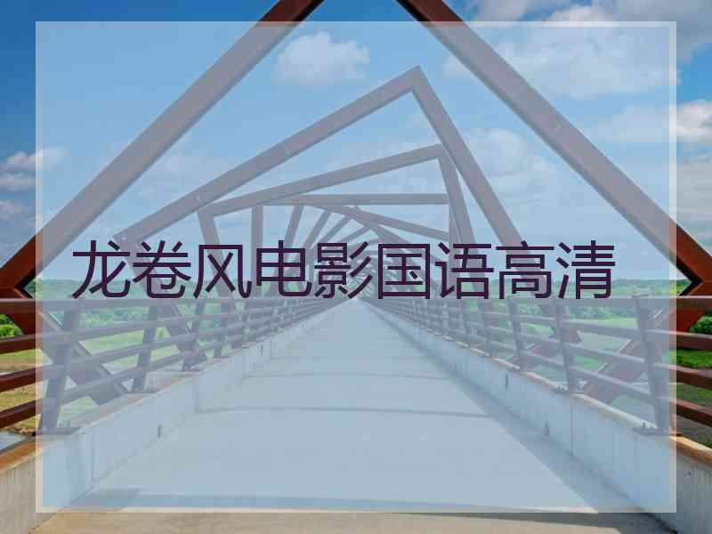 龙卷风电影国语高清
