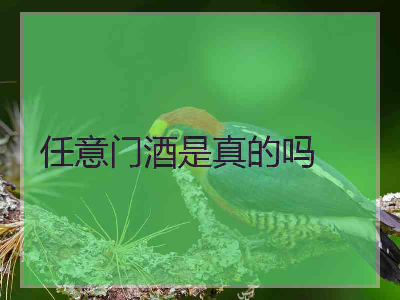 任意门酒是真的吗