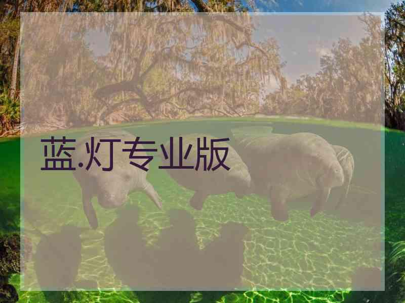 蓝.灯专业版