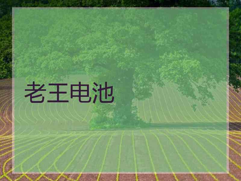 老王电池