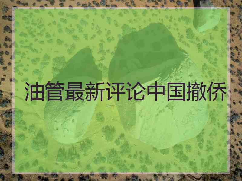 油管最新评论中国撤侨