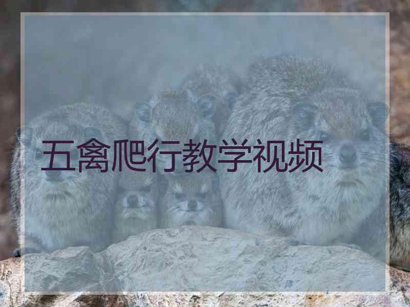 五禽爬行教学视频