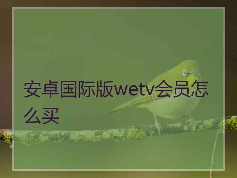 安卓国际版wetv会员怎么买
